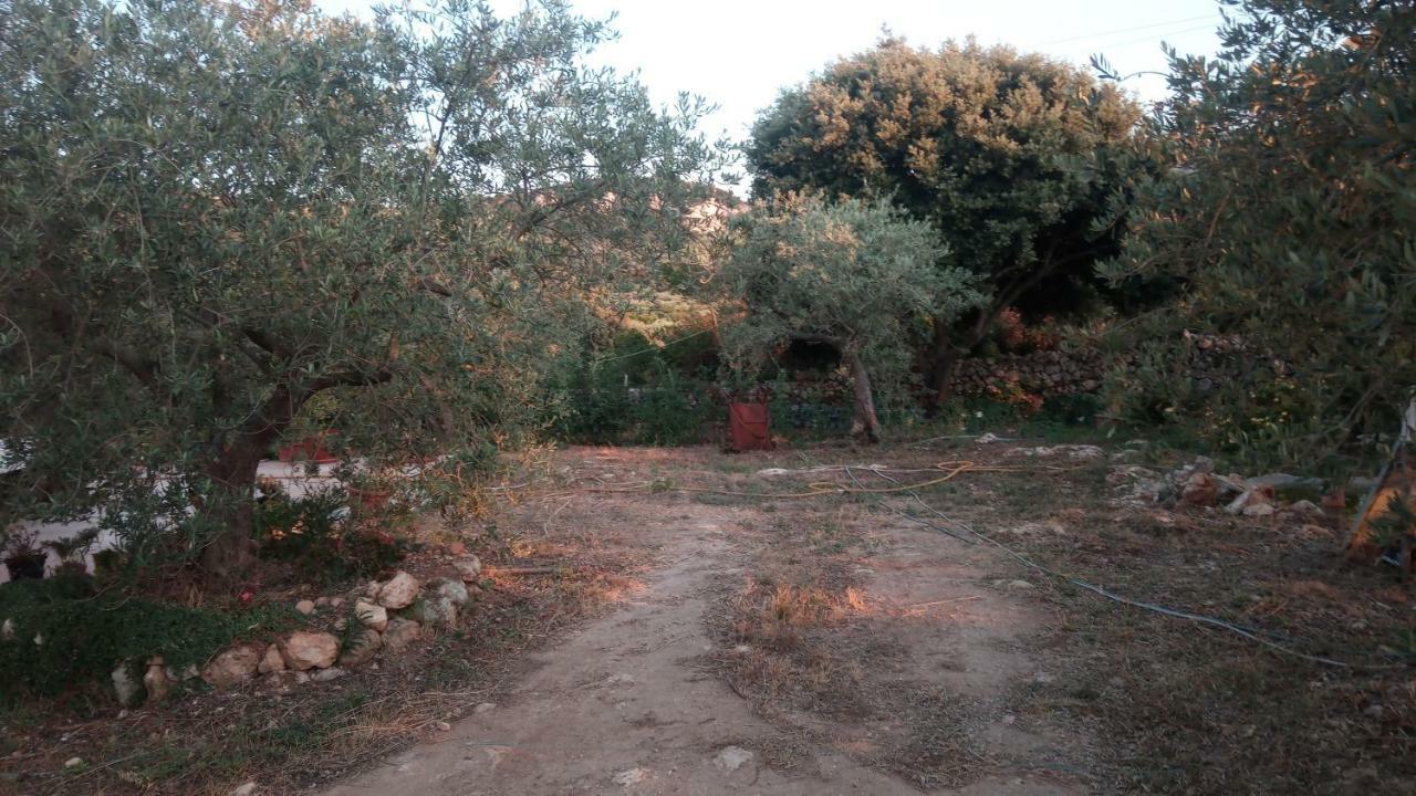 Ossi Residence Degli Ulivi מראה חיצוני תמונה