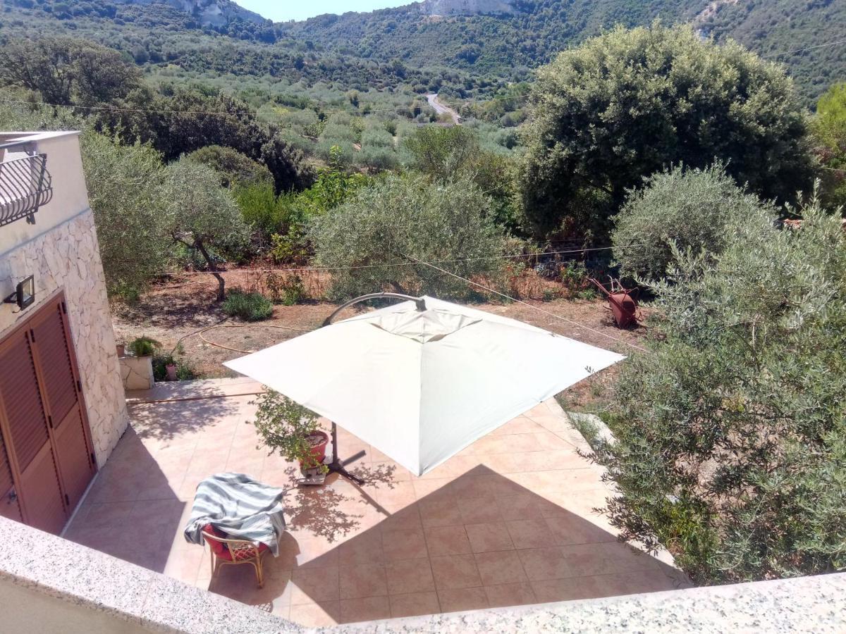 Ossi Residence Degli Ulivi מראה חיצוני תמונה